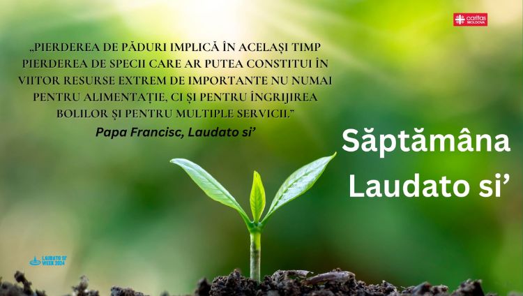 Săptămâna Laudato Si' 2024